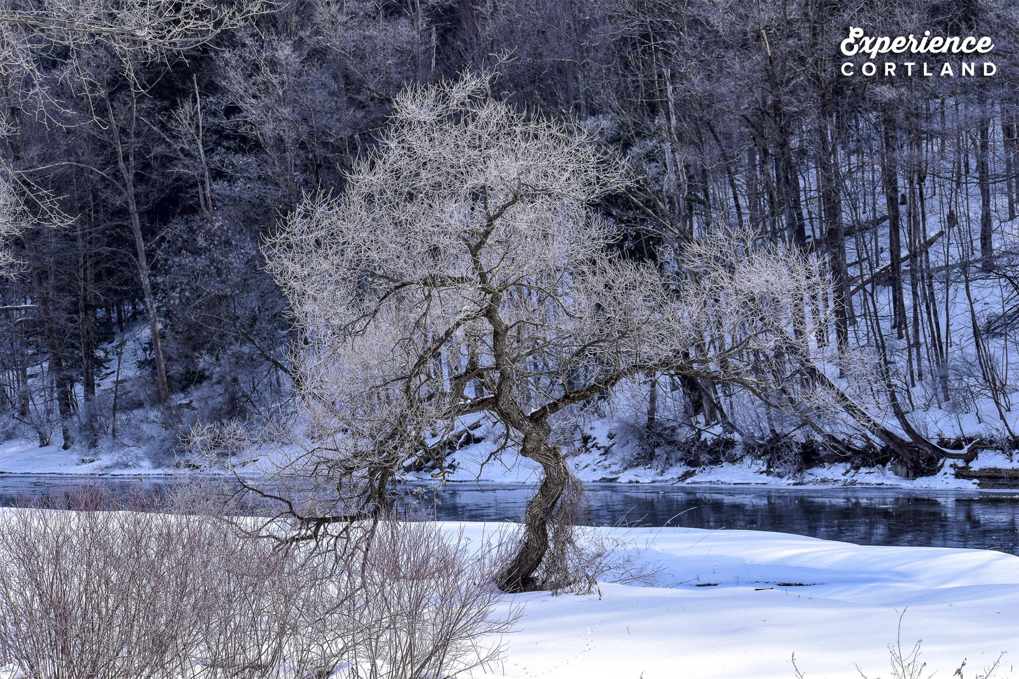 10 Cortland County Winter Scenes to Set as Zoom Backgrounds