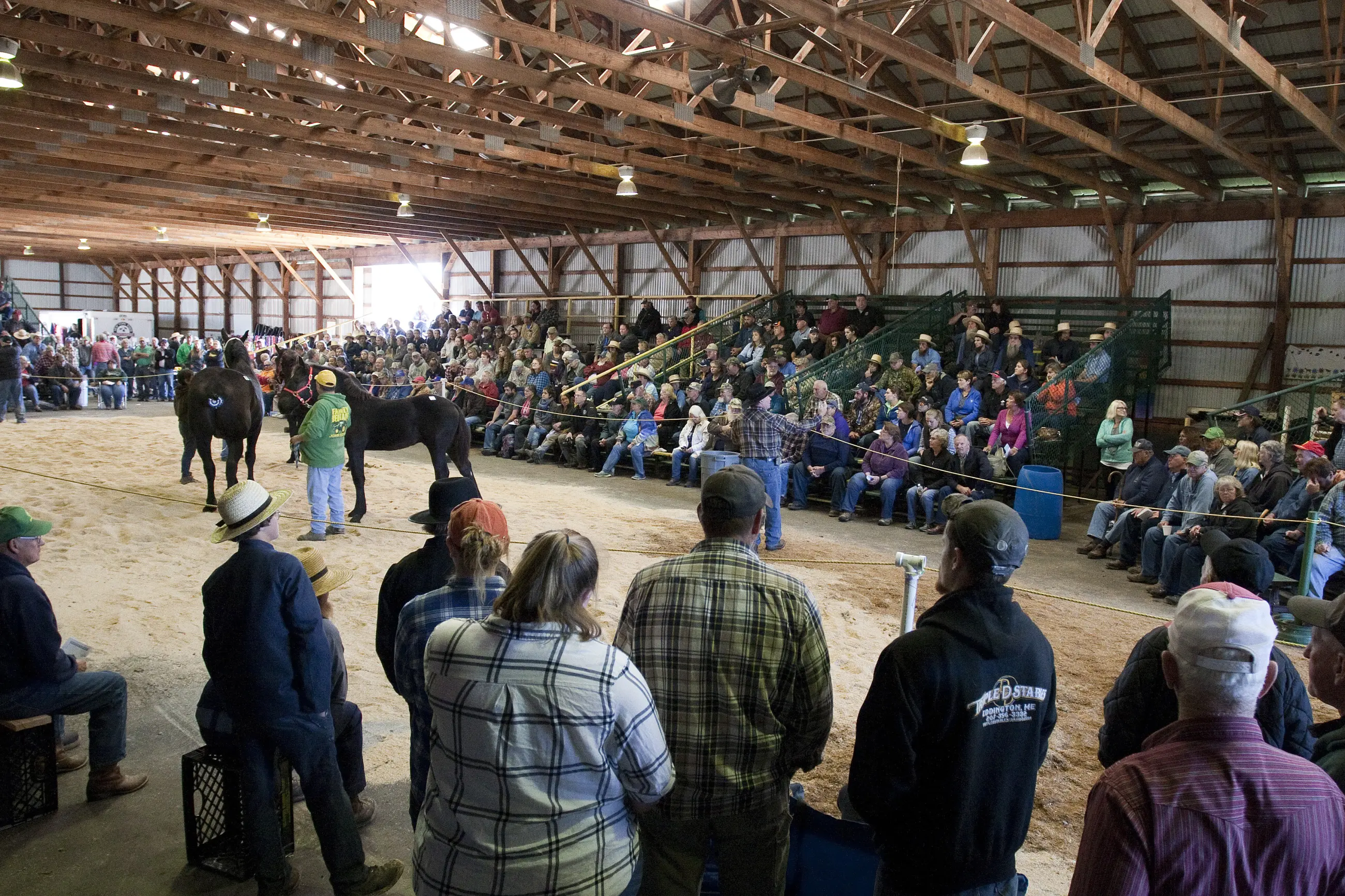 NYS Draft Horse Show and Sale