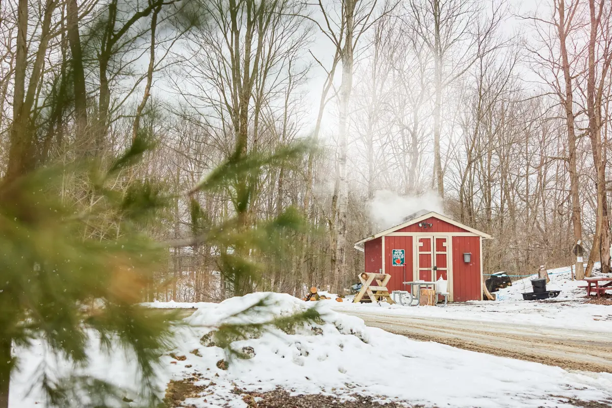 From Tap to Table: Celebrate All Things Maple in Cortland County
