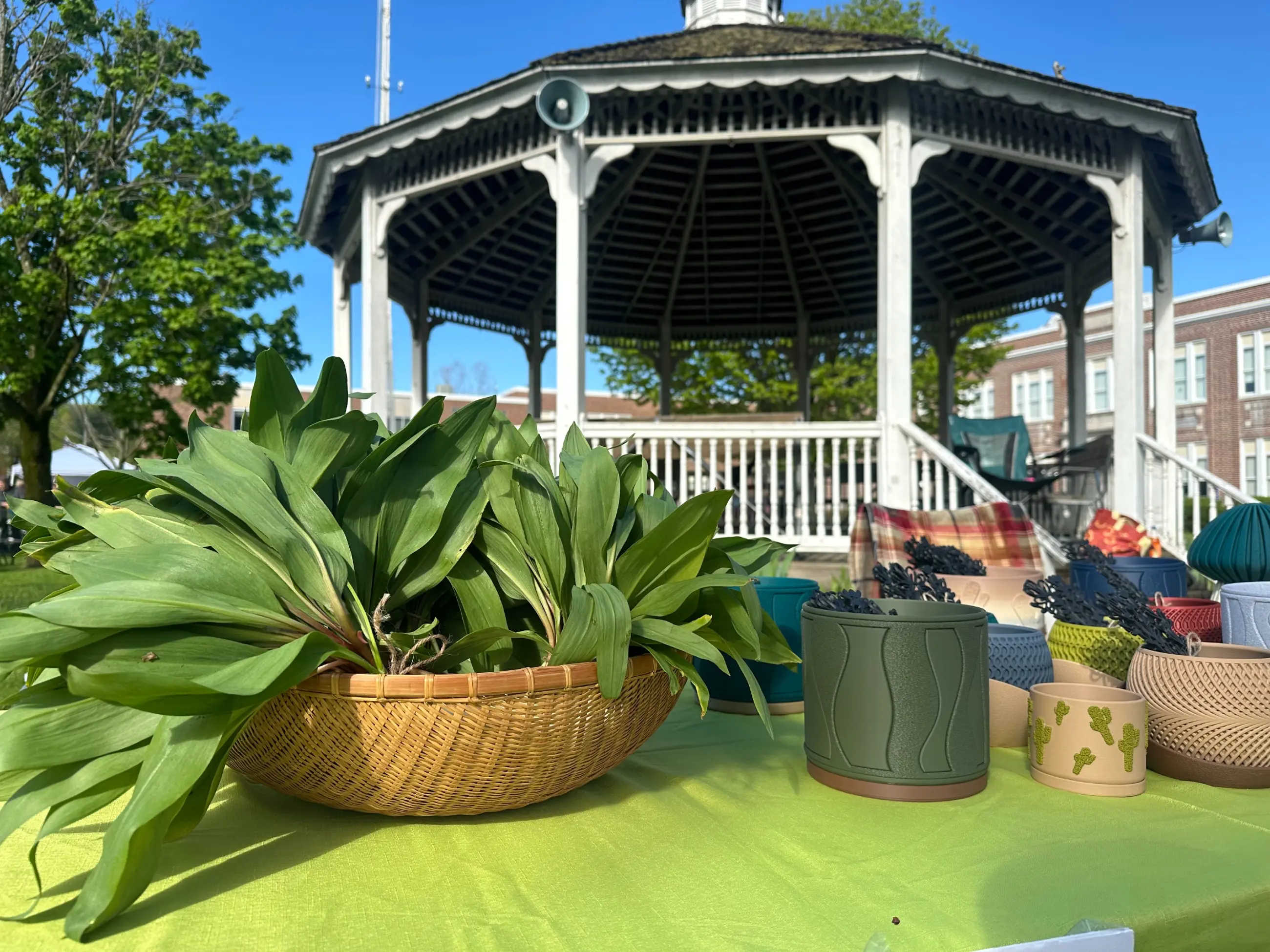 Residents' Quiet Efforts Cultivate Marathon's Summer Charm